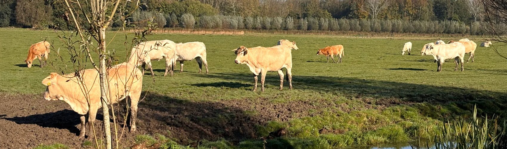Mestverwerking | BÈTA industrie BÈTA industrie helpt met het optimaliseren van uw mestverwerking