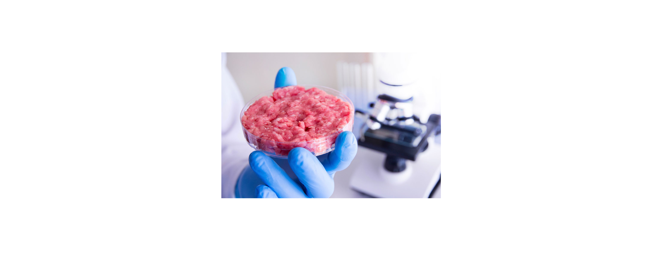 Proteine vervangers | BÈTA industrie