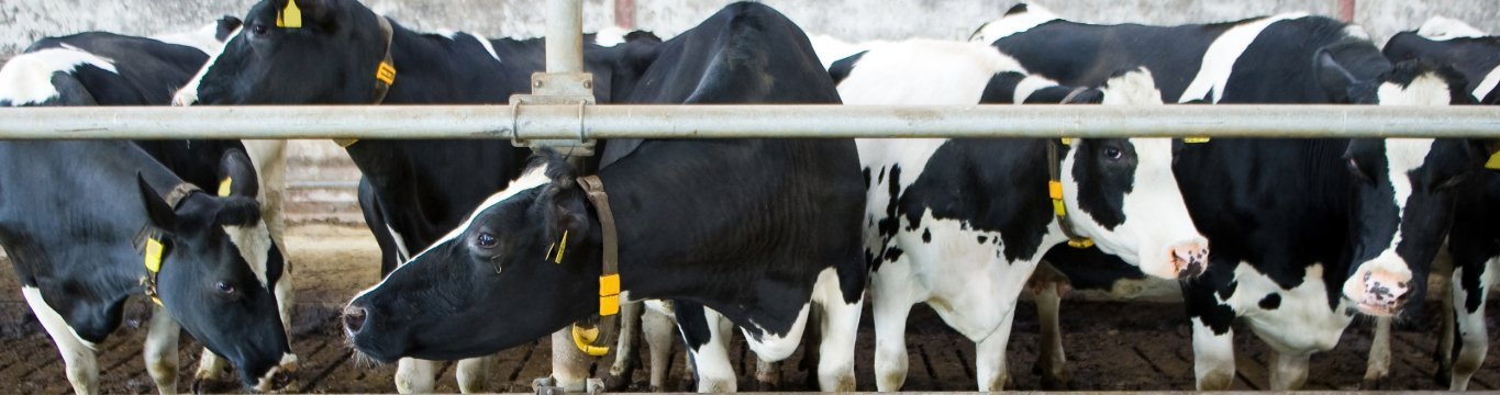 Agro | BÈTA industrie