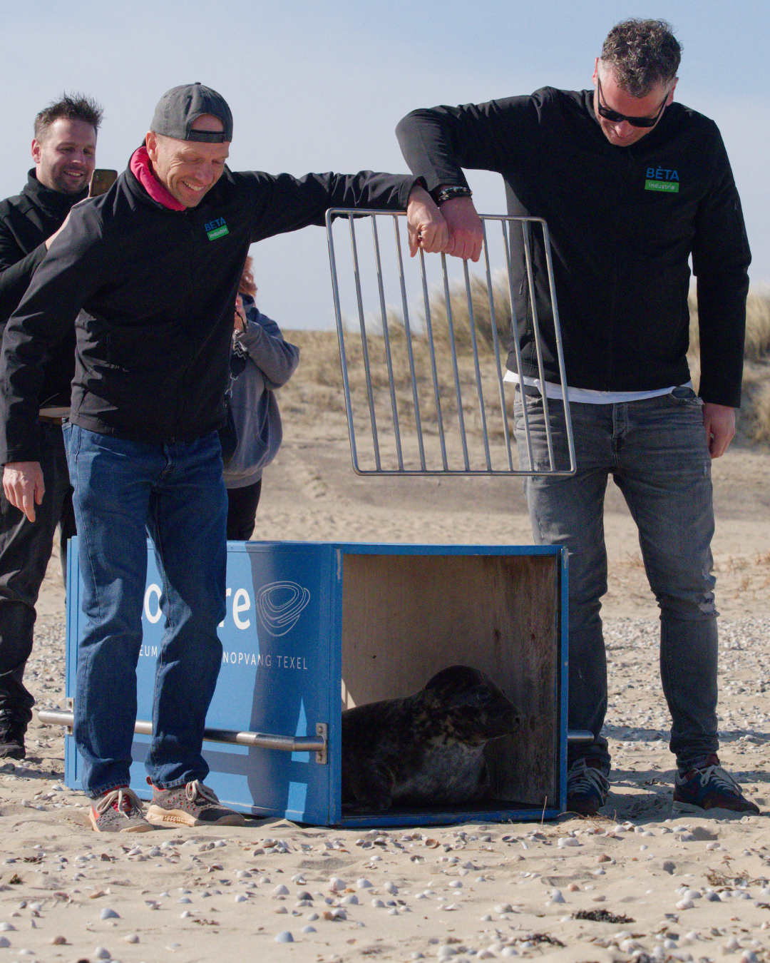 News afbeelding _ zeehond